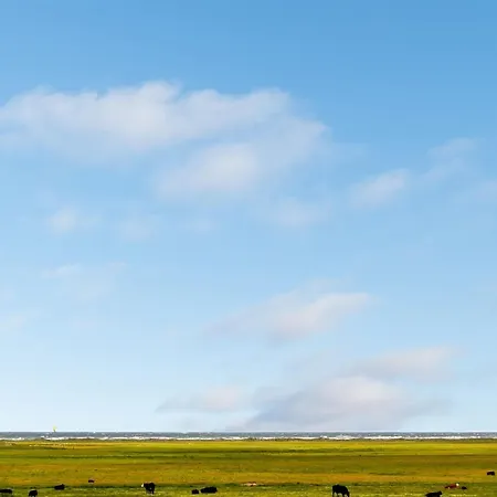 Dom wakacyjny Mortensen - 350m From The Sea By Interhome Lakolk