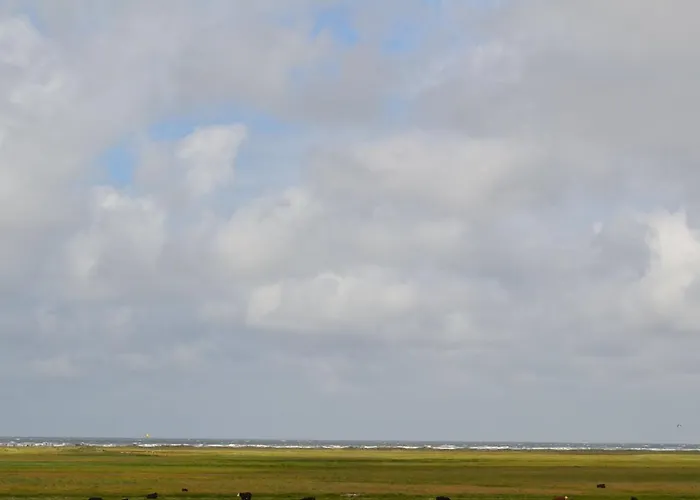 Tatil Evi Mortensen - 350m From The Sea By Interhome